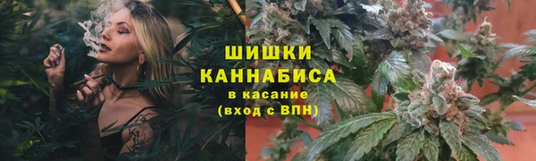 гидропоника Богородск