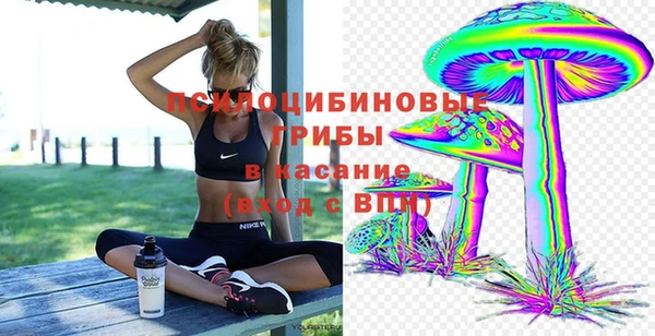 кокаин перу Богданович