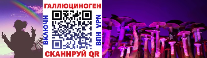 МЕГА   Северская  Псилоцибиновые грибы мицелий 